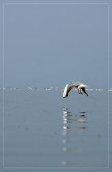 IMG_5353.JPG