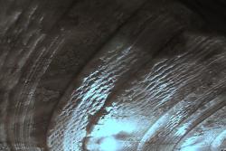 IMG_9670__.jpg