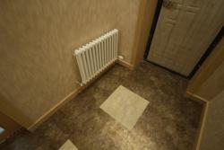 IMG_8381.jpg